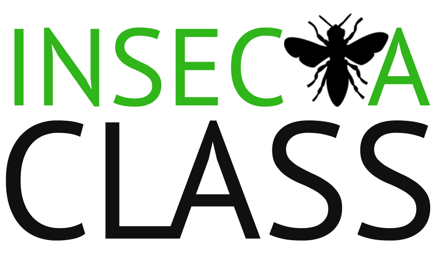 Insecta Class Educational Services For Pest Control Techs